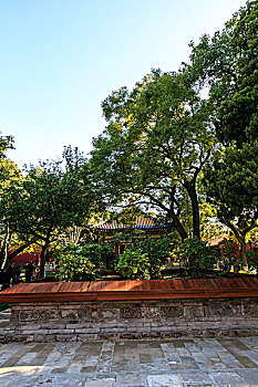 慈宁宫花园