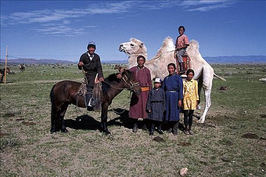 马,哺乳动物,蒙古人,家族,骆驼,草原,蒙古,亚洲,动物