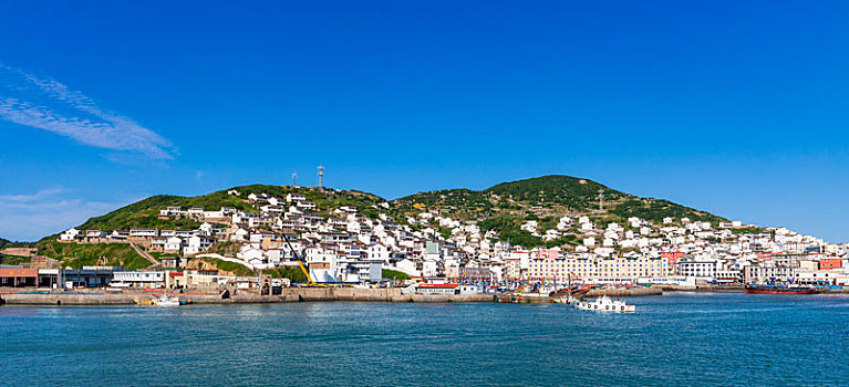 舟山市,枸杞