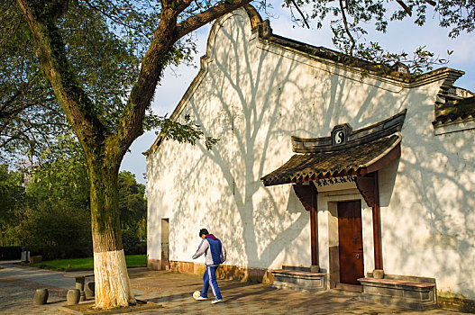 太极馆,建筑,树木,阳光