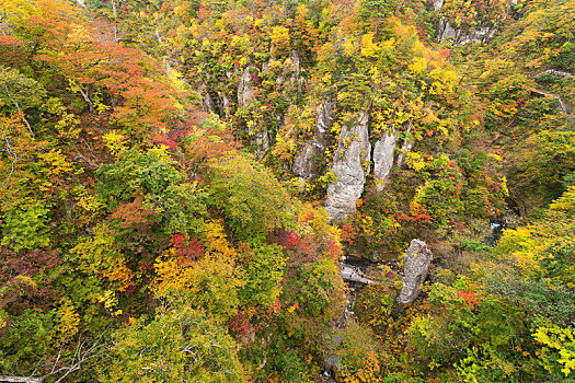 秋天,峡谷