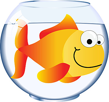 金鱼缸图片_金鱼缸图片大全_金鱼缸图片素材