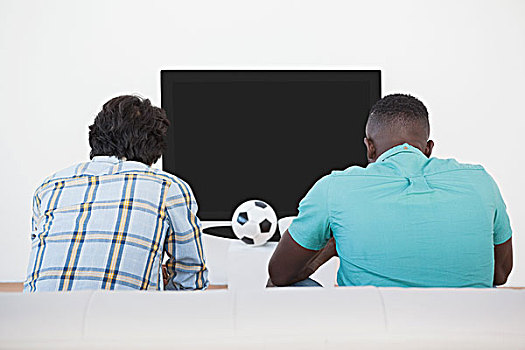 两个,足球,球迷,看电视
