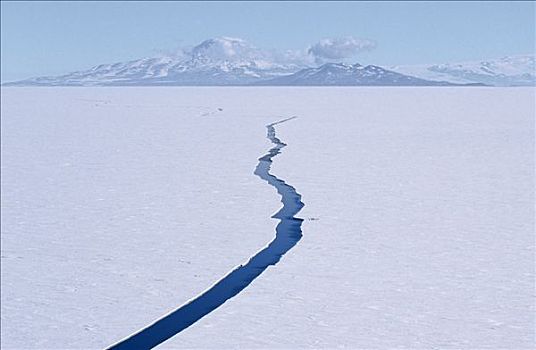 海冰,揭示,长,开着,通道,海洋生物,南极