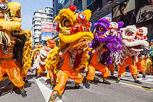 中国,香港,新年,白天,节日,游行,中国狮子,舞者