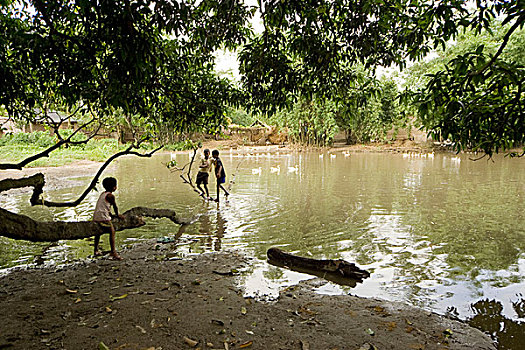 乡村,水塘,孟加拉,六月,2007年