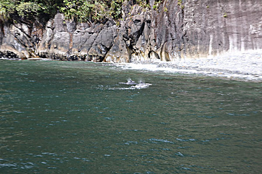 米弗峡湾