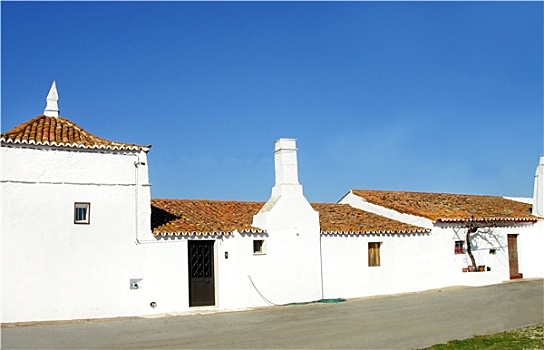 房子,区域,葡萄牙