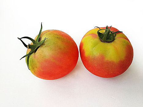 静物西红柿,番茄,青红番茄