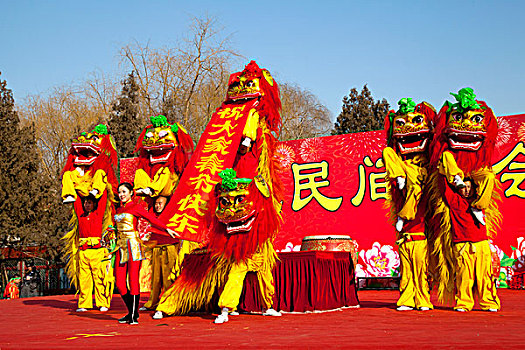 北京地坛庙会上的杂技表演舞狮