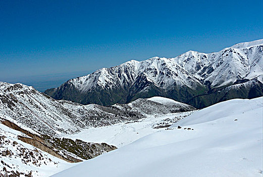 风景,雪,遮盖,山,斜坡,国家,公园,掸邦,山峦,阿拉木图,哈萨克斯坦,中亚