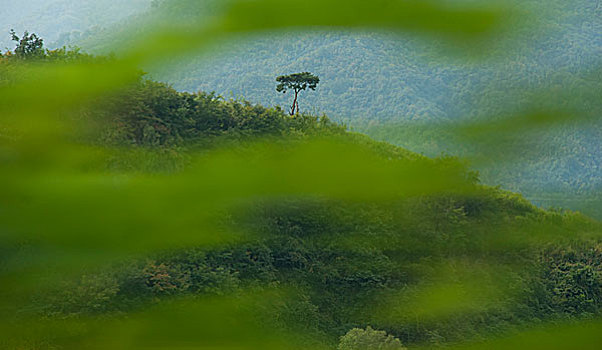 中朝边界鸭绿江对岸朝鲜风光