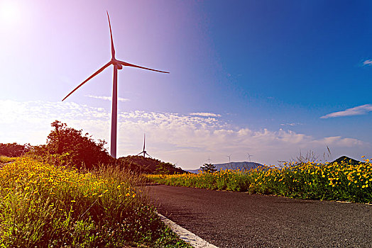 宁波白岩山电力风车