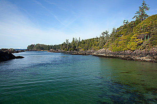 海滩,靠近,温哥华岛,不列颠哥伦比亚省,加拿大