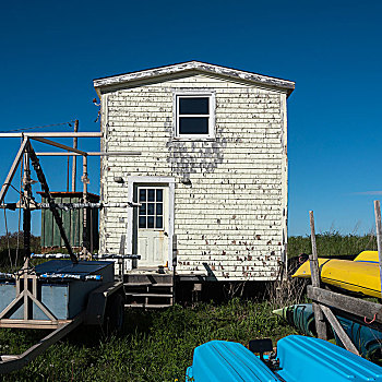 小屋,港口,北方,爱德华王子岛,加拿大