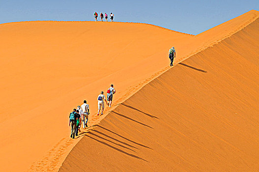旅游,走,向上,红色,沙丘,纳米比诺克陆夫国家公园,纳米布沙漠,纳米比亚