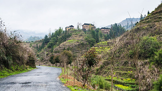 路湿,风景,乡村