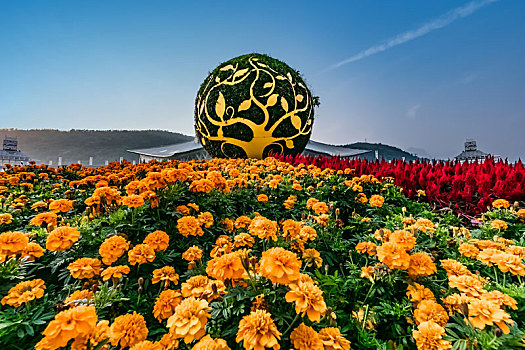 湖南省张家界市街头花坛装饰物景观