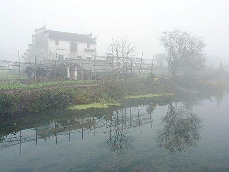 婺源田园风景