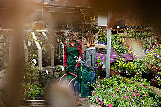 两个,女性,花商,交谈,相互,花卉商店