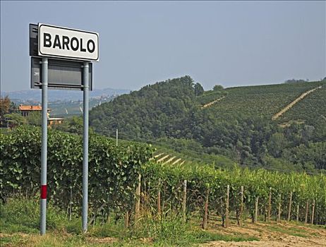 地名,标识,巴罗洛葡萄酒,意大利,欧洲