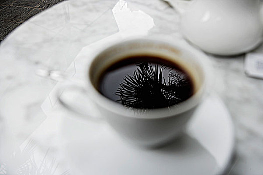 反射,棕榈树,咖啡杯