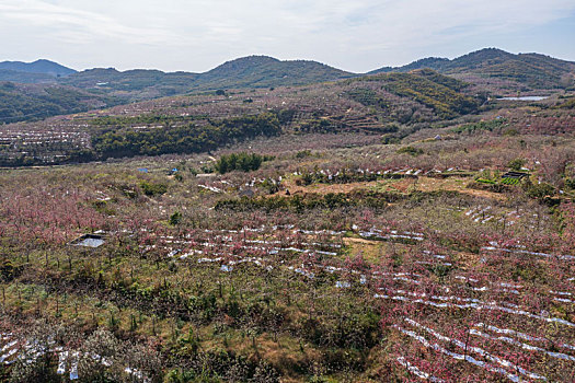 航拍沂蒙山区乡村果园