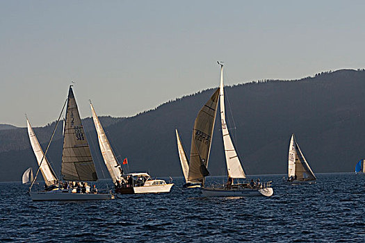 帆船,太浩湖,比赛