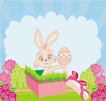 小,兔子,礼盒,复活节,惊讶,礼物