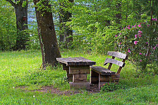 长椅,桌子,草地,地区,莱茵兰普法尔茨州,德国