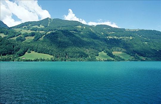 湖,伯恩,瑞士