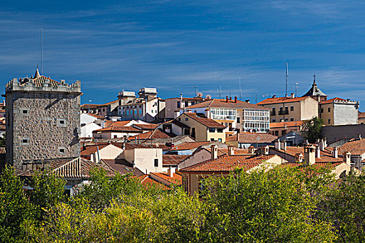 西班牙,卡斯蒂利亚,区域,阿维拉省,俯视图,城市,屋顶,城镇,墙壁