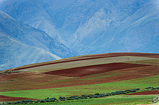 山谷,风景,圣谷,秘鲁