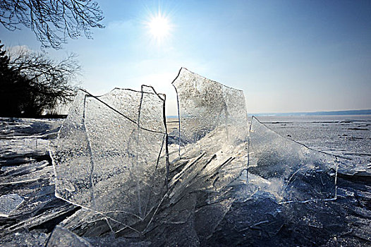 浮冰,施塔恩贝格湖,上巴伐利亚,巴伐利亚,德国,欧洲