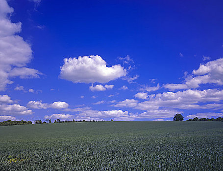 英格兰,汉普郡,蓝天,上方,乡村风光,风景