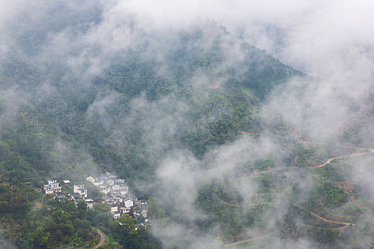 云雾坡山