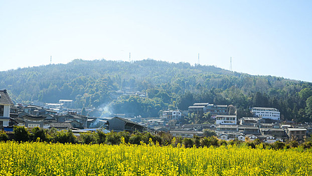 云南,腾冲,和顺,古镇,油菜花田