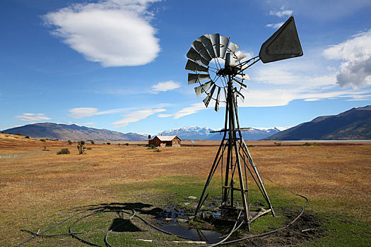 风车,阿根廷,农田