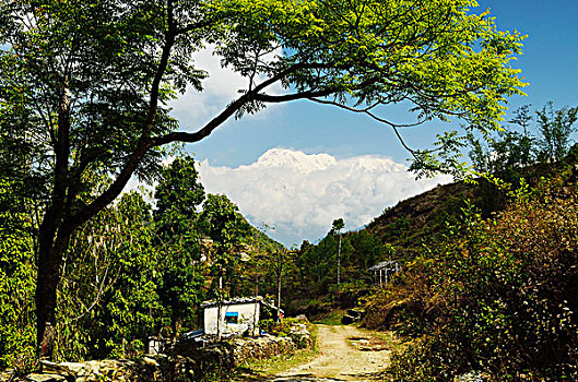 山区木屋,靠近,桑冉库特,尼泊尔
