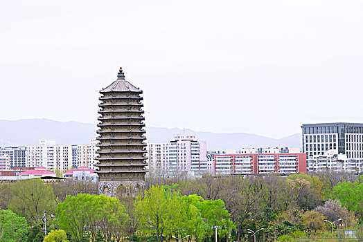 春天北京玲珑公园里的慈寿寺塔