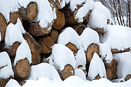 积雪,一堆,木头