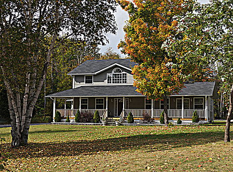 屋舍,乡野,秋天,阿尔冈金,安大略省,加拿大
