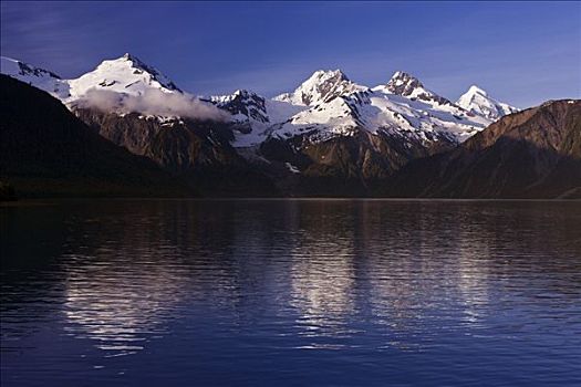 景色,风景,湾,冰河湾国家公园,阿拉斯加,夏天