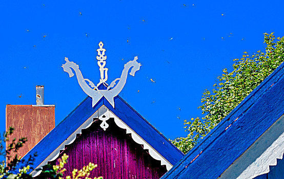 立陶宛,涂绘,木屋,特写,屋顶