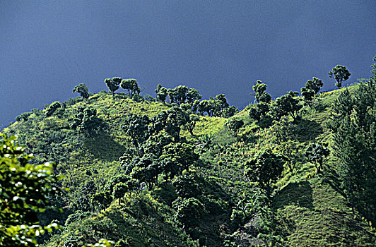 牙买加,蓝山,区域