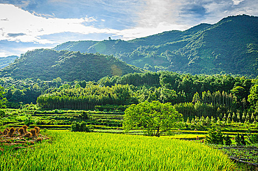 山岭秋色