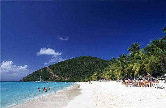 棕榈树,海滩,白色,湾,堤岸,岛屿,英属维京群岛,加勒比海