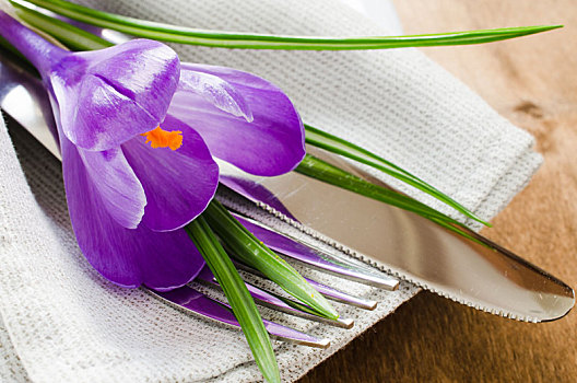春天,节日餐桌,布置,新鲜,花