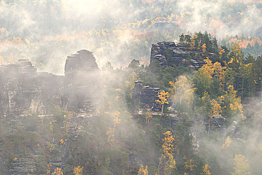 雾,秋天,砂岩,山峦,撒克逊瑞士,萨克森,德国,欧洲