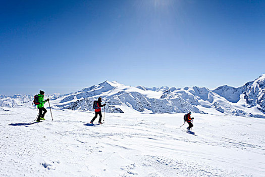 滑雪,下降,山,冬天,后面,南蒂罗尔,意大利,欧洲